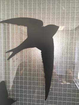 Fensteraufkleber - fliegende Vögel - schwarz - Fensterdekoration